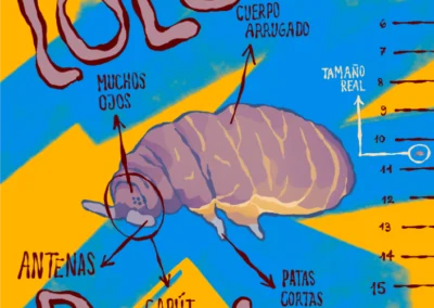 Ilustraciones científicas infantiles: bichos invisibles por casa